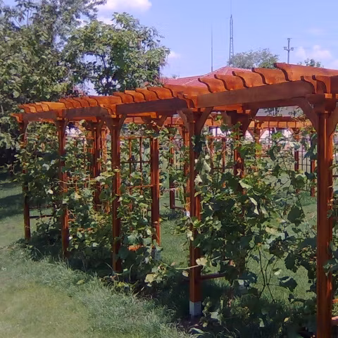 Primarul Liviu Negoiţă cheltuieşte patru milioane de euro pe fântâni şi 84.000 de euro pe două pergole