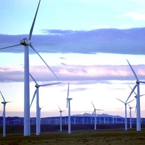 Consiliul Judeţean Prahova a primit autorizaţia de construcţie a unui parc eolian la Călugăreni