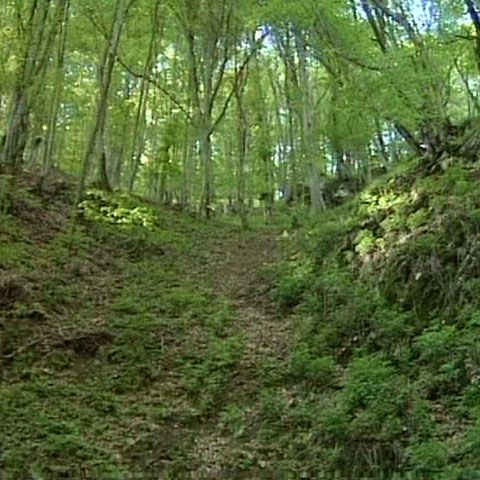 O familie cu doi copii mici a rămas blocată o noapte pe munte