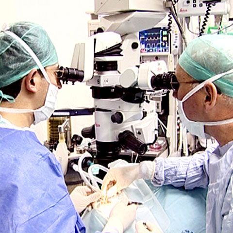 Suferinţele cardiovasculare vor putea fi prevenite printr-un program naţional de screening