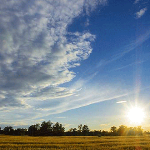 Weekend cu vreme frumoasă, urmat de ploi şi răcirea aerului