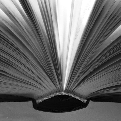 Război între trusturi: Intact cere în instanţă 500.000 de euro de la Adevărul pentru publicarea Enigmei Otiliei