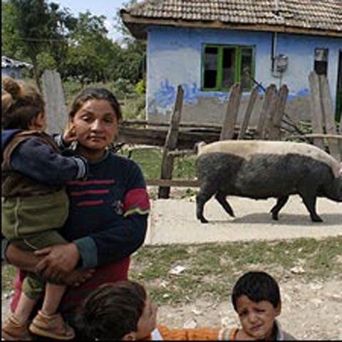 Sunday Times: Bandele din Ţăndărei importă copii pentru fraude cu beneficii sociale de 5 milioane de euro