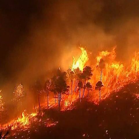 10.000 de persoane din Atena au primit ordin de evacuare, din cauza incendiilor