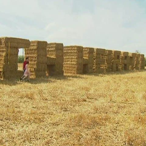 Cerere în căsătorie din baloţi de paie