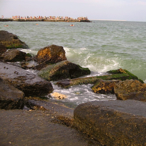 Apa Mării Negre s-a retras câţiva metri din cauza vântului