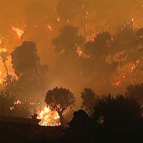 Incendiile de lângă Atena reprezintă adevărate dezastre ecologice, spun experţii