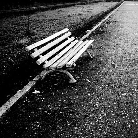 Investiţii de criză - Primarul Negoiţă dă peste 22 de milioane de euro pe băncuţe de esenţă nobilă