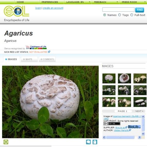 Vasta enciclopedie care adună informaţii despre speciile în viaţă cunoscute are 150.000 de pagini