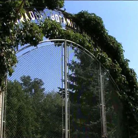 Singura grădină botanică din mediul rural, din România, riscă să fie închisă