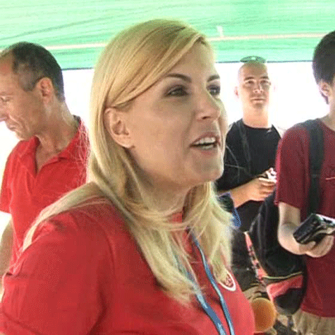 Elena Udrea susţine că pe litoral controalele sunt o sursă de şpagă