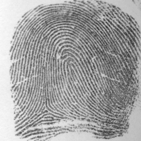 CE vrea schimbări în legislaţia drepturilor de autor, pentru a facilita accesul la cărţi pe internet