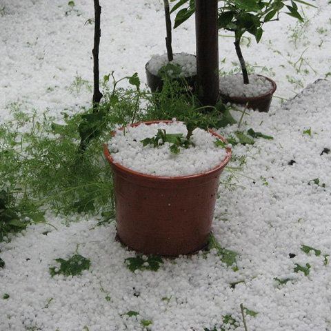 O rachetă antigrindină a căzut în curtea unei gospodării din Prahova 