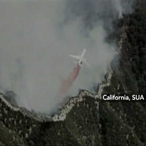 Incendiile au făcut ravagii în întreaga lume