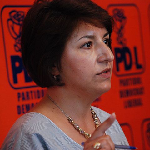 S.Barbu: Guvernul îşi va asuma răspunderea pe o combinaţie între pachetul Miclea şi pachetul Andronescu