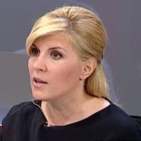 Udrea: Comisia e o armă politică îndreptată împotriva candidaturii lui Traian Băsescu