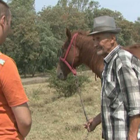 În satele din Vaslui, animalele se vând la un sfert din preţul real 