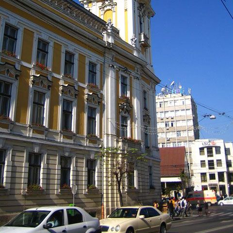 Primăria Cluj-Napoca ia măsuri pentru a preveni apariţia unor cazuri de gripă porcină în şcoli