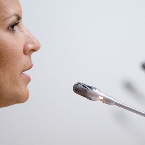 Elena Udrea acuză: Un serviciu din subordinea MAI se implică în lupta politică