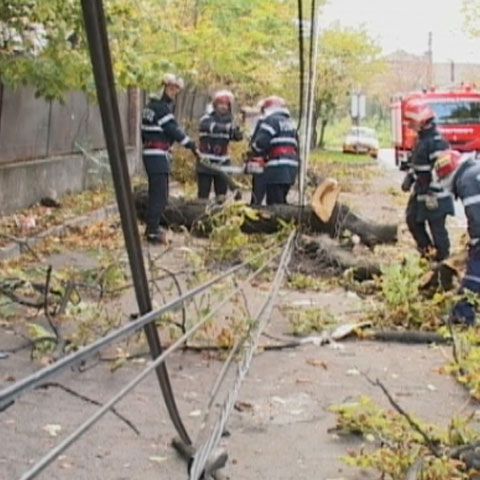 Circulaţie îngreunată pe DN24 A, din cauza copacilor rupţi de furtună