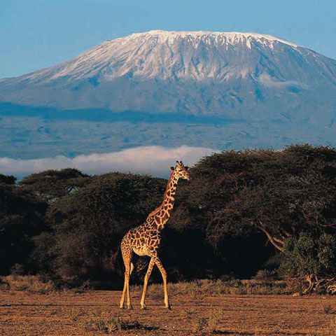 Doi alpinişti din Arad au escaladat vârful Uhuru din Kilimanjaro