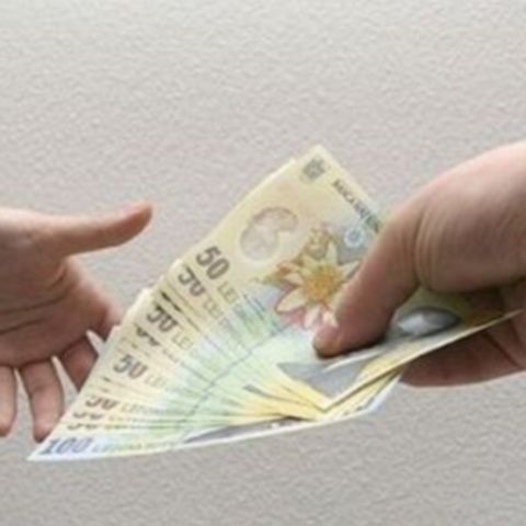 În 2010 vor creşte salariile mai mici de 705 lei, potrivit legii salarizării unitare