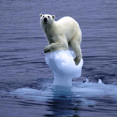 Top 10 efecte neaşteptate ale încălzirii globale