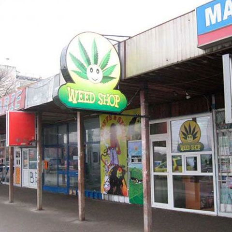 Liber la droguri. Tot mai mulţi tineri ajung la spital în urma consumului de produse etno-botanice