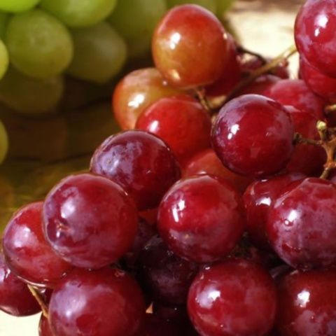 Viticultorii ameninţă cu proteste din cauza preţului scăzut al strugurilor