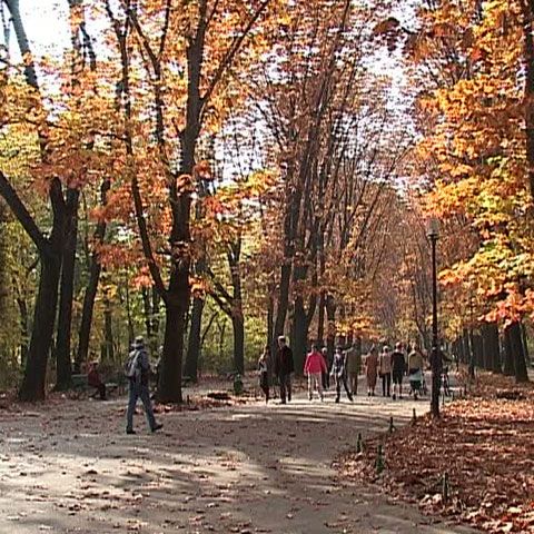 Vom avea parte de o toamnă caldă, însă sfârşitul lui noiembrie ne va aduce primii fulgi de zăpadă