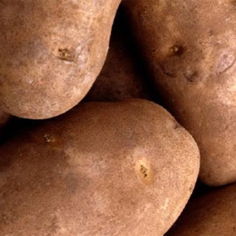 Zeci de oameni caută în fiecare dimineaţă de muncă cu ziua, în Miercurea Ciuc