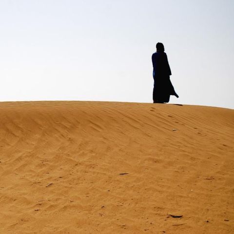 Cum se poate transforma Sahara într-o mare pădure