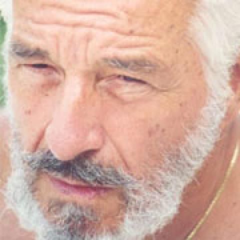 "Poliţist, adjectiv", cel mai comentat film românesc în blogosferă. Nicolaescu, cel mai discutat regizor