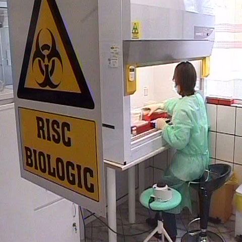 O elevă din Slobozia a fost diagnosticată cu gripă nouă