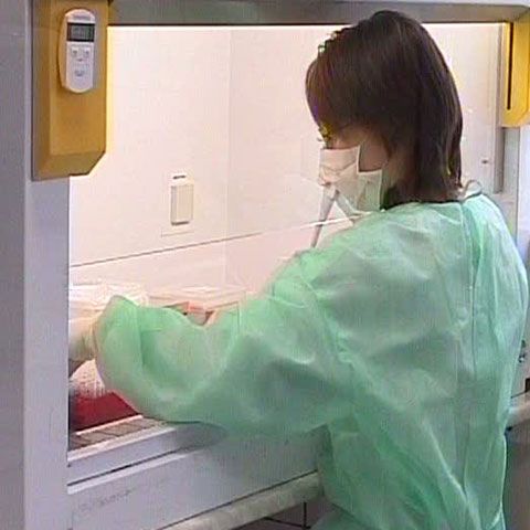 Adrian Streinu Cercel: Fac apel la părinţi să nu-şi lase copiii la şcoală dacă ştiu că aceştia sunt răciţi