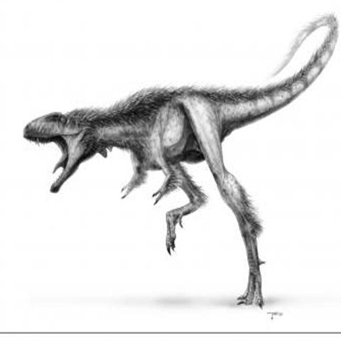 Strămoşul înfricoşătorului T-Rex era un dinozaur foarte mic. GALERIE FOTO