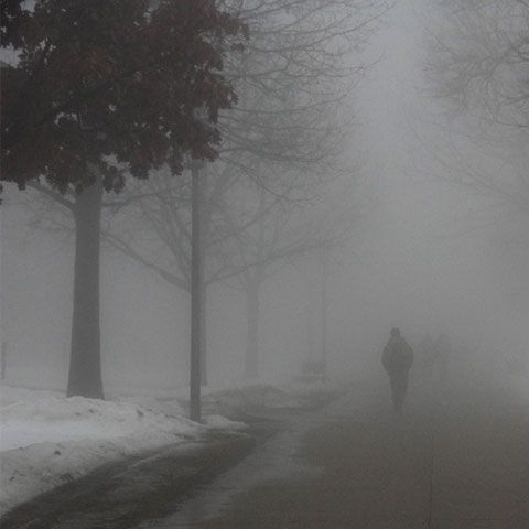 Pe unele sectoare ale DN7 şi DN65 vizibilitatea a fost de sub 50 de metri din cauza ceţii