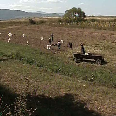 Moţii şi-au scos la vâzare terenurile