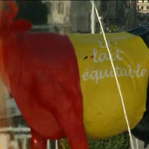 Mii de litri de lapte aruncaţi sub nasul lui Barroso