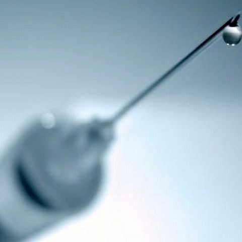 Cantgrip, vaccinul contra gripei porcine, va fi gata pe 21 noiembrie