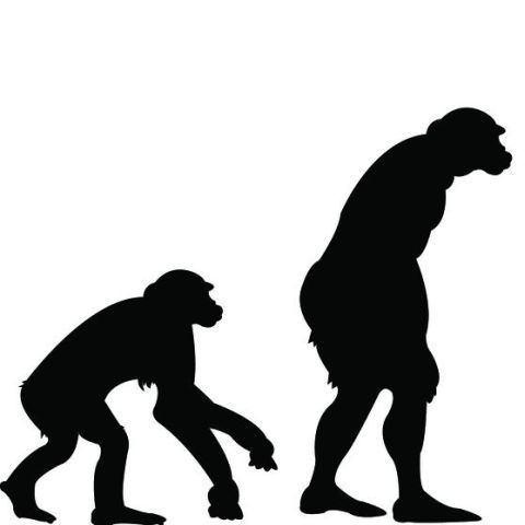 Omul nu se mai poate întoarce la origini, conform ultimelor teorii evoluţioniste