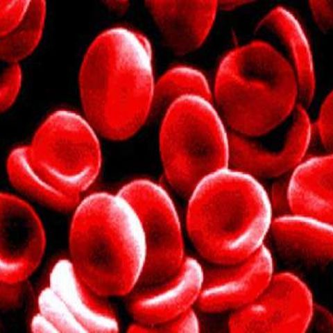 Lideri la SIDA! Cei mai mulţi bolnavi din Europa Centrală şi Est-Europeană sunt din România