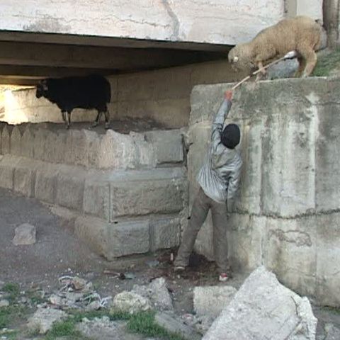 Mii de copii din judeţul Vaslui au abandonat şcoala  