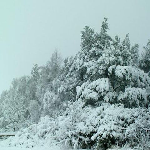 Ce poveşti vom spune nepoţilor noştri: Pe vremea mea, se foloseau doar 140 de caractere