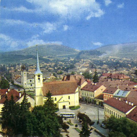 Locuitorii din Odorheiu Secuiesc au mers, duminică, la vot 
