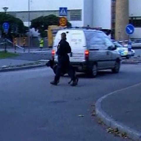 Şase suspecţi au fost arestaţi în cazul jafului din Suedia