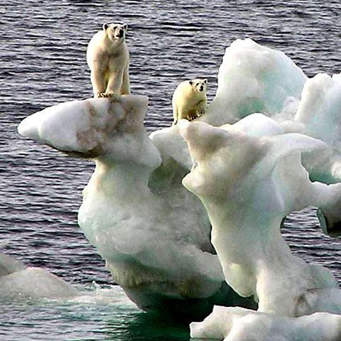 Planeta se va încălzi cu 4 grade în următorii 50 de ani