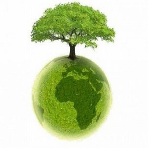 Elevii ar putea studia ecologia ca materie facultativă