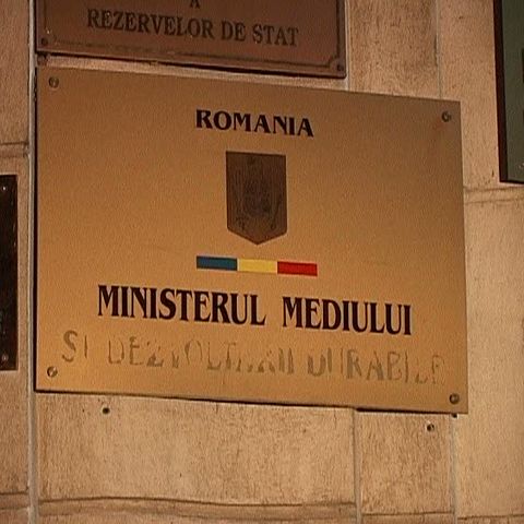Angajaţii Ministerului Mediului au încărcat documente în mai multe maşini