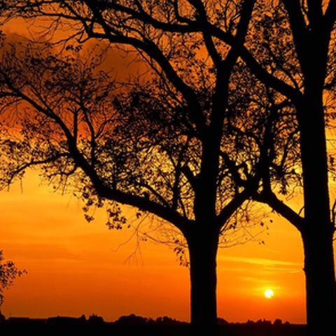 În această săptămână vom avea vreme frumoasă şi în uşoară încălzire în toată ţara - VEZI PROGNOZA METEO